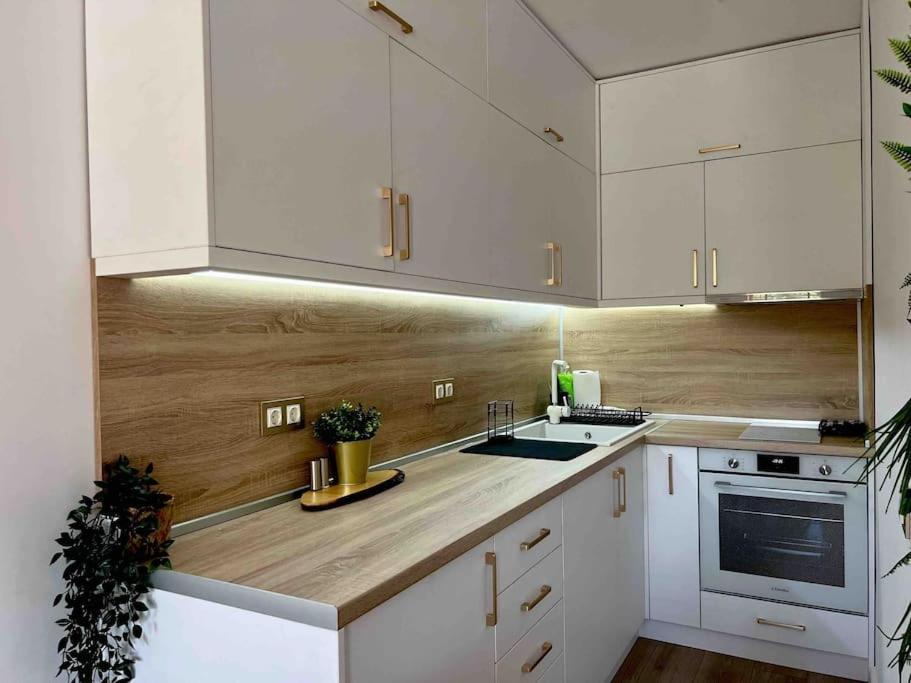Cosy Appartement Green Life בנסקו מראה חיצוני תמונה