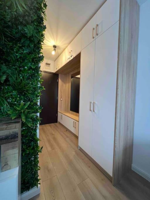 Cosy Appartement Green Life בנסקו מראה חיצוני תמונה