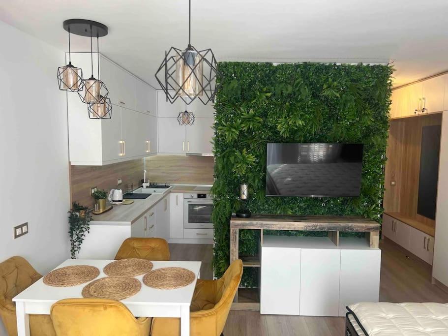 Cosy Appartement Green Life בנסקו מראה חיצוני תמונה
