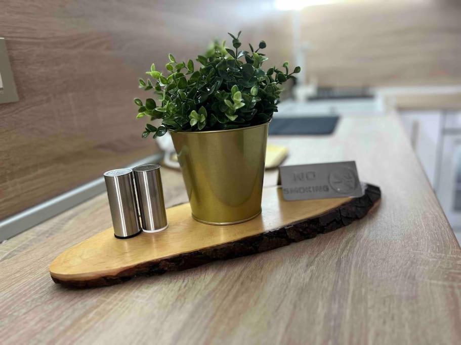 Cosy Appartement Green Life בנסקו מראה חיצוני תמונה