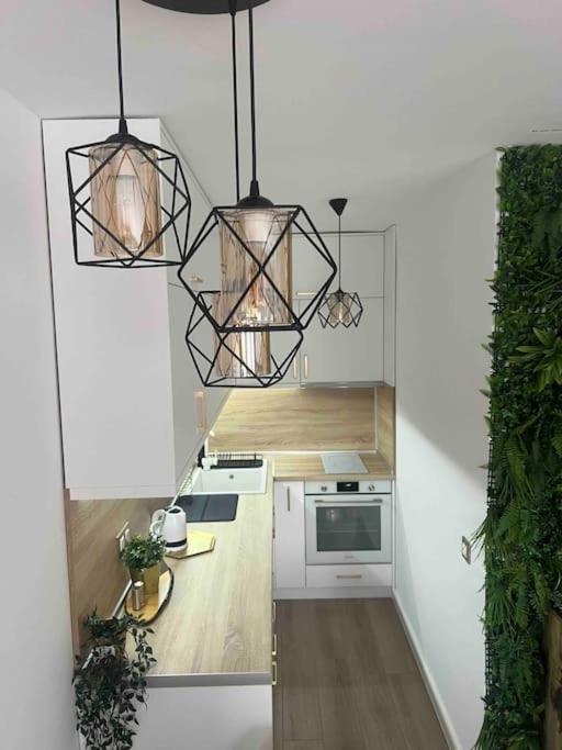 Cosy Appartement Green Life בנסקו מראה חיצוני תמונה